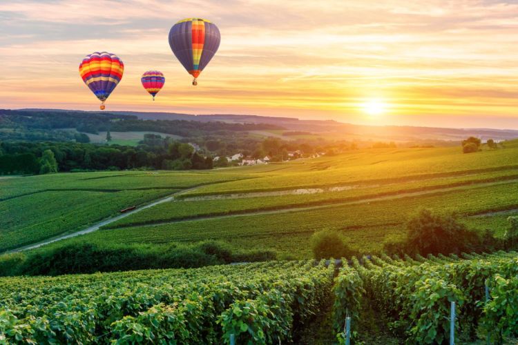 The picturesque and world famous Champagne region in France