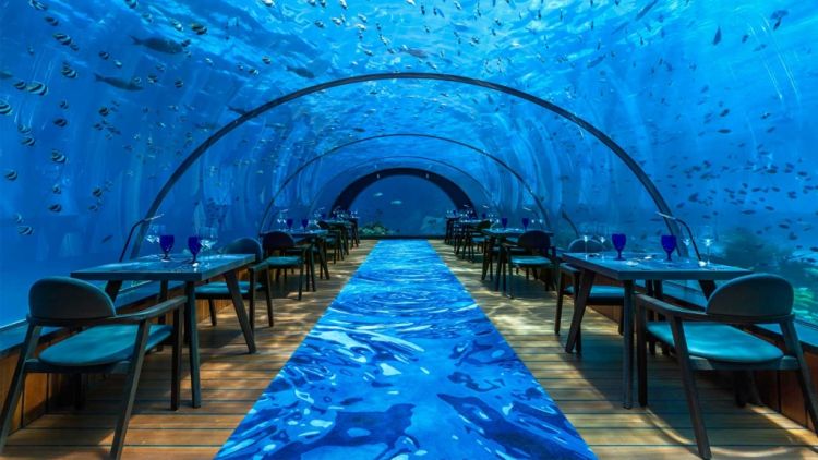 5.8 Undersea Restaurant