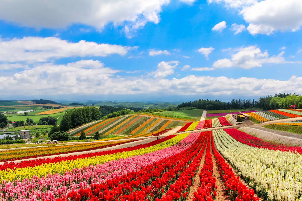 Hokkaido, Japan