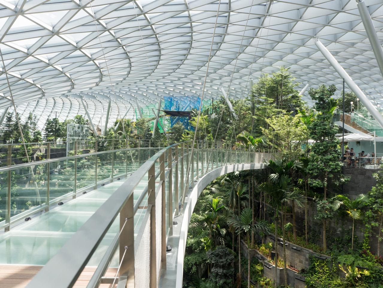 Canopy Bridge at the new Jewel Changi airport in Singapore