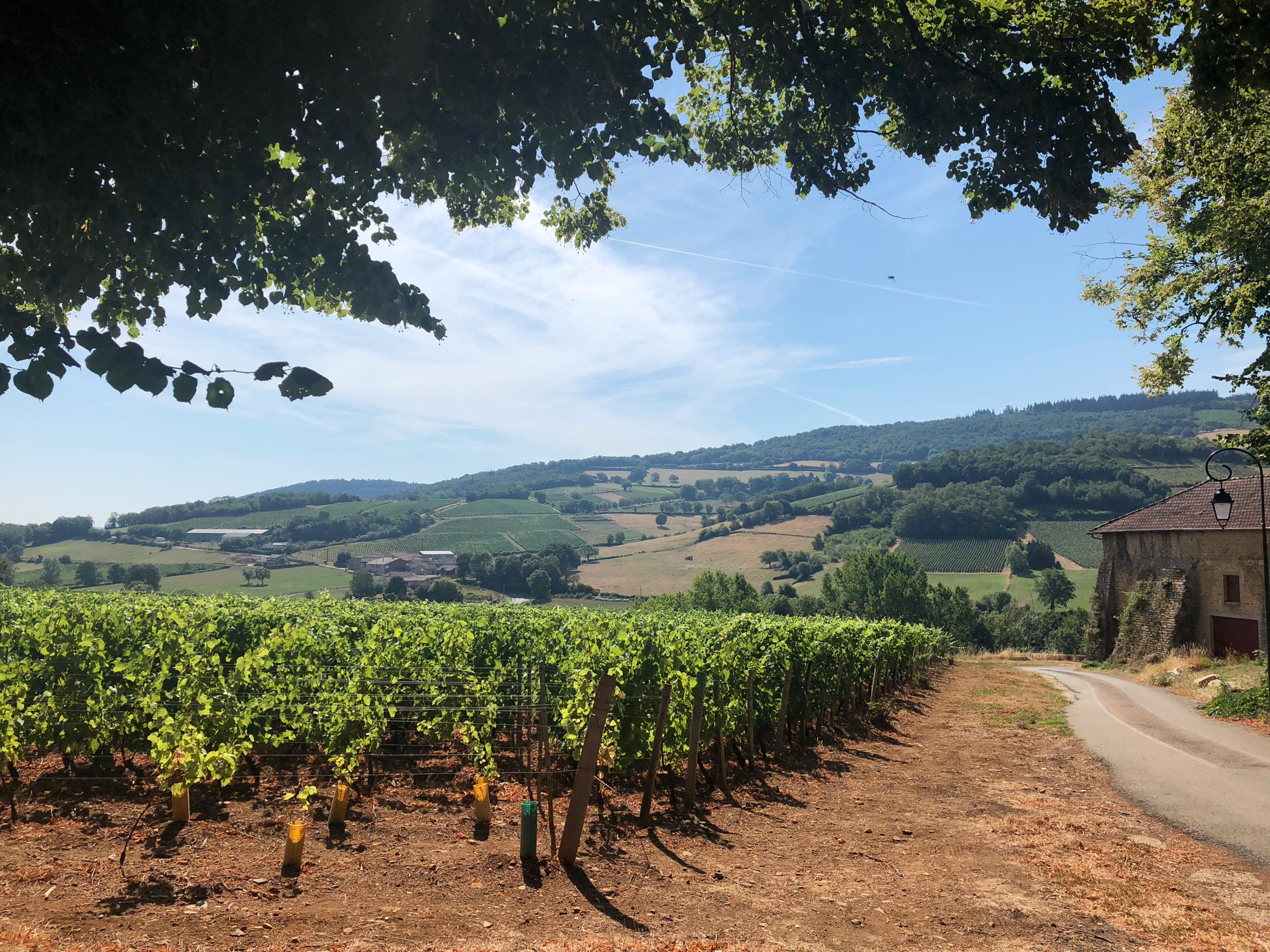 A Must Visit - Veuve Clicquot - Distant Francophile